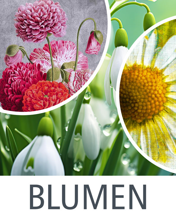 blumen
